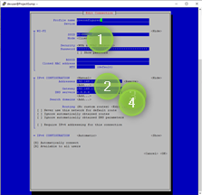 Raspberry Pi Zero 2W Set Static IP Address Step 4